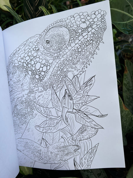 Planty Of Color coloring book